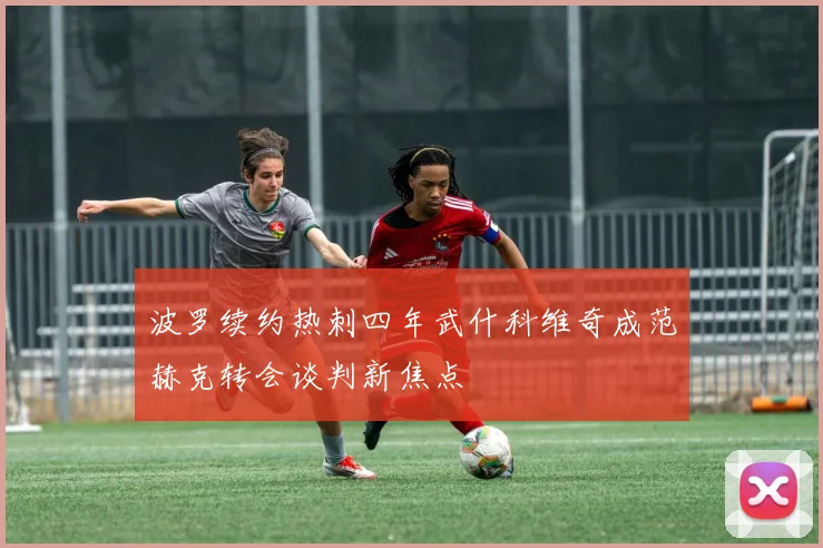 波罗续约热刺四年武什科维奇成范赫克转会谈判新焦点
