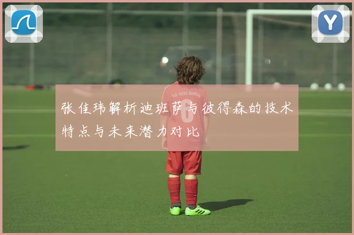 张佳玮解析迪班萨与彼得森的技术特点与未来潜力对比